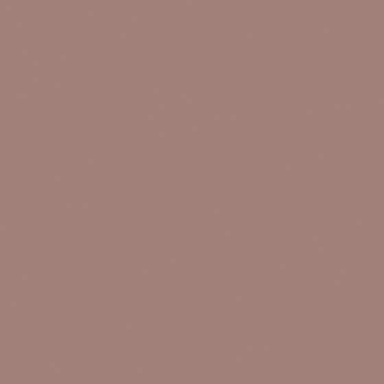 NP N 1889T-Ground Clove