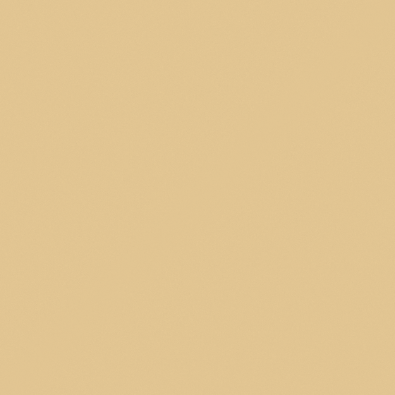 NP N 3251P Mustard Mix