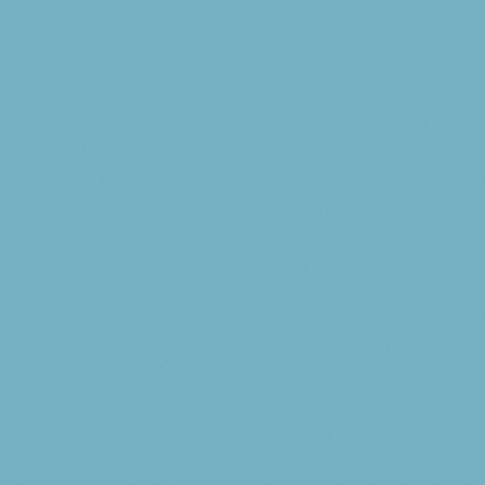 NP BGG 2800T-Insignia Blue