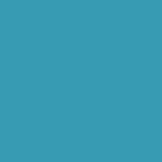 NP BGG 2791A-China Blue