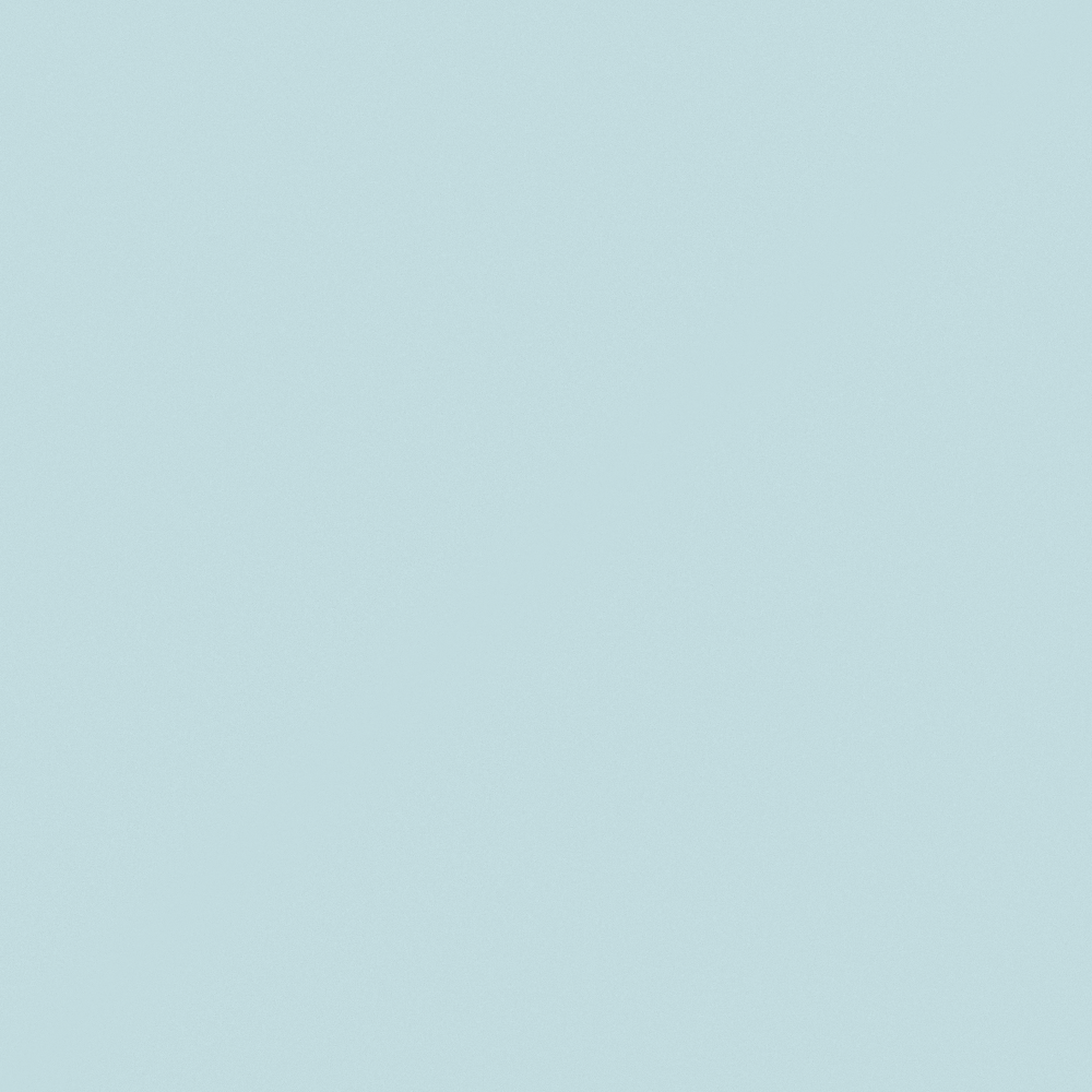 NP BGG 2786P-Snow Medley