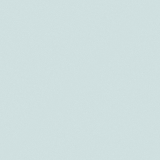 NP BGG 2809P-Alpine Snow