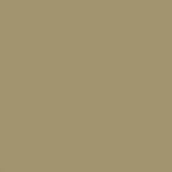 NP BGG 1707D Sandle Tan