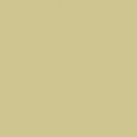 NP BGG 1724T-Moss Print