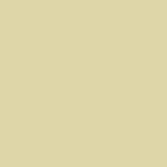 NP N 3260P-Dusky Green