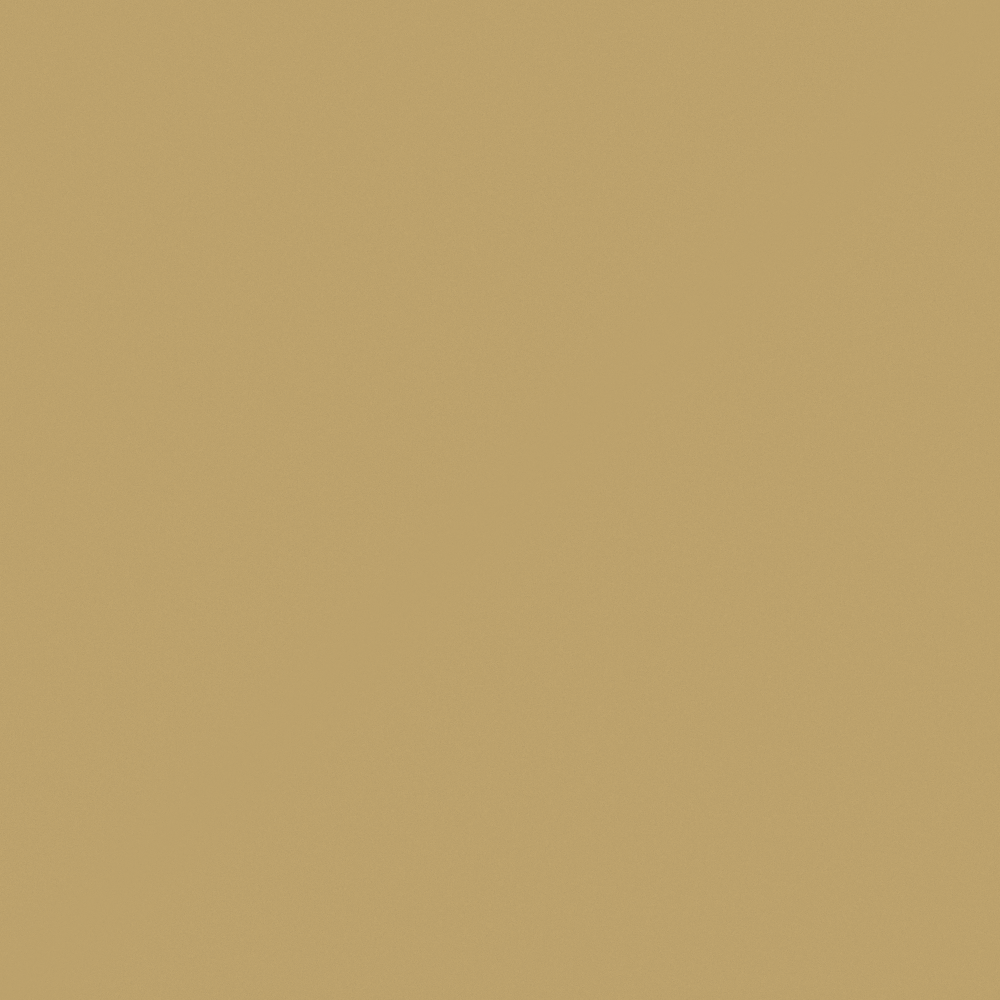 NP BGG 1700D-Backpackers Lodge