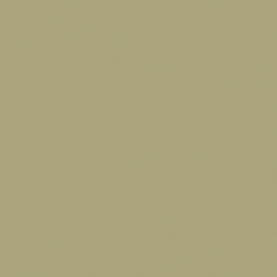 NP BGG 1735T Miranda Green