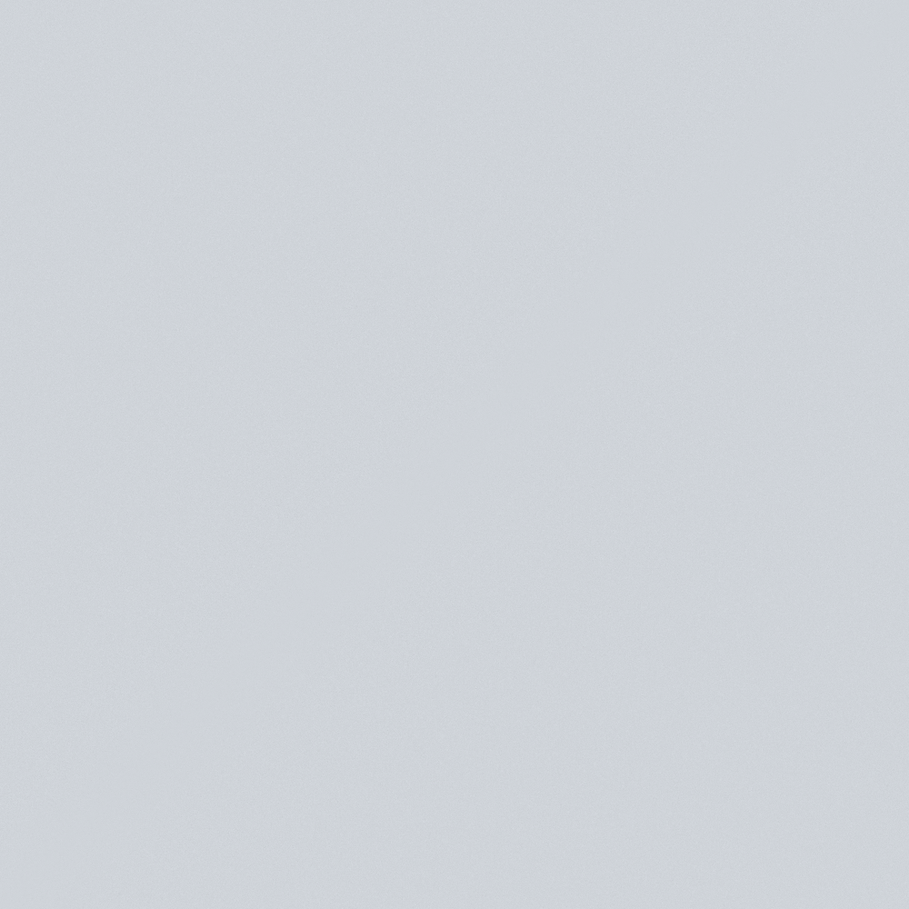 NP N 3310P Silent Observer