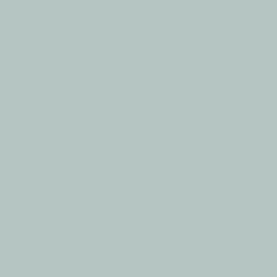 NP N 3284P-Shaded Green