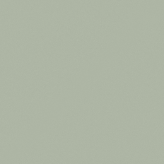 NP N 3264P Misty Spring