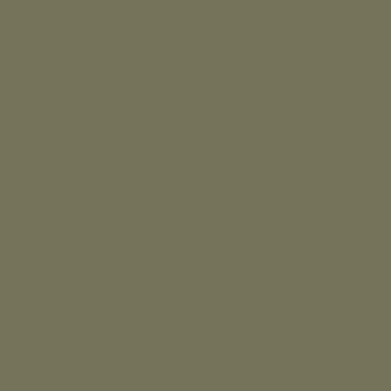 NP BGG 1743A-Livia Green