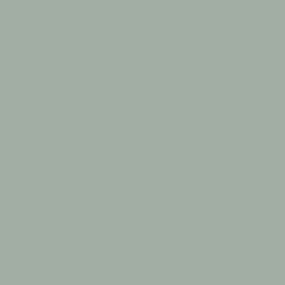 NP BGG 1766P-Young Shepherd