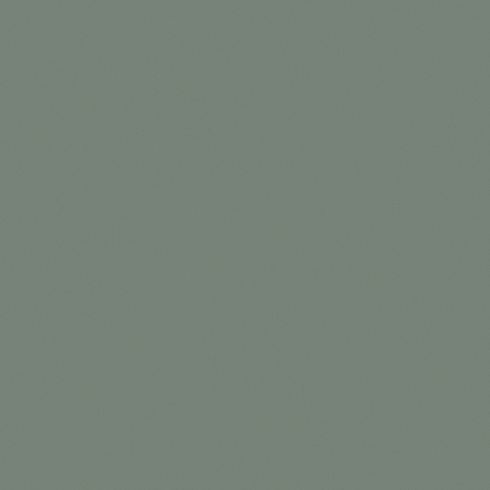 NP BGG 1765D-Green Hills