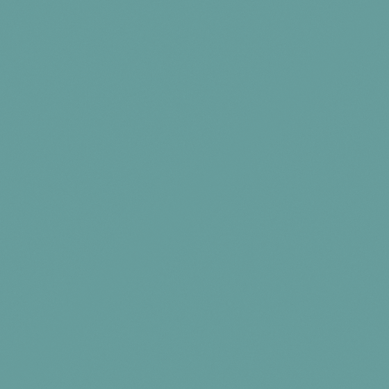 NP BGG 2723D-Peacock Feather