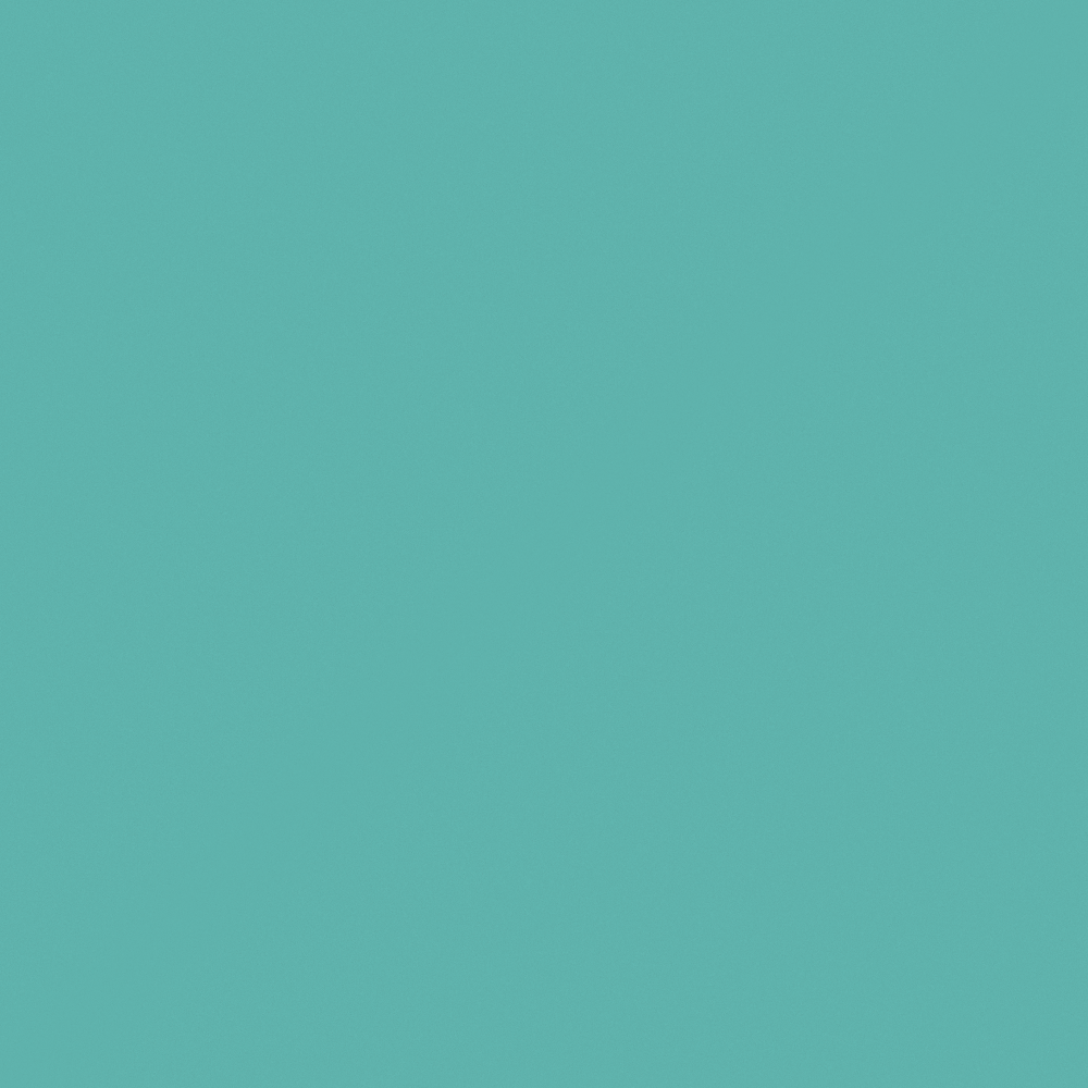 NP BGG 2710D-Painted Gondola