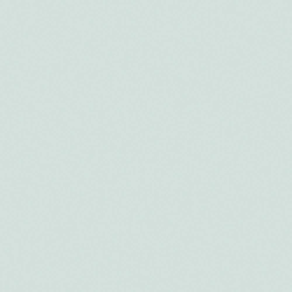 NP BGG 2719P-Mountain Blue