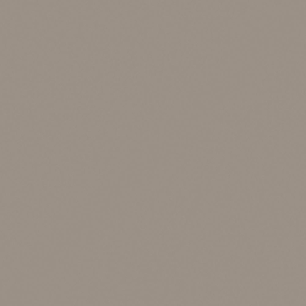 NP N 3231T-Pet House