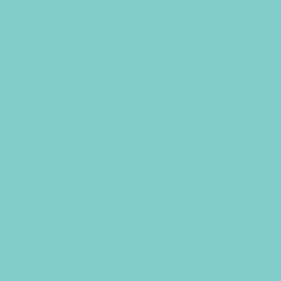 NP BGG 2742P-Turquoise Reflection