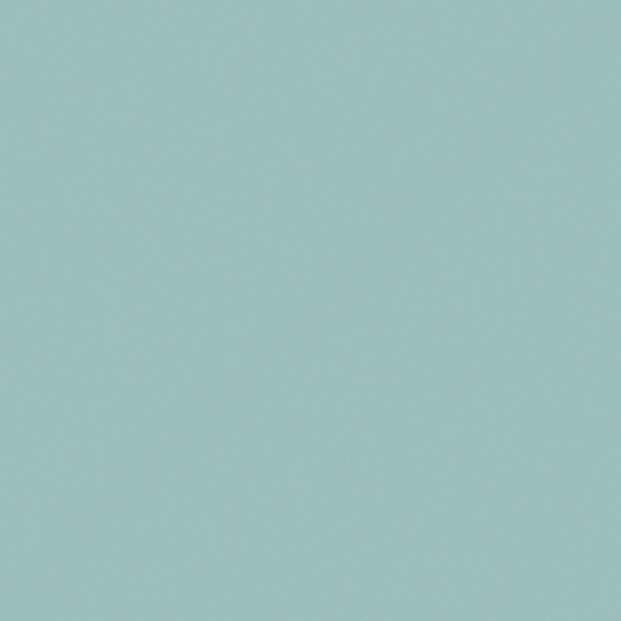 NP BGG 2729P-Leon's Locker