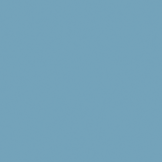 NP PB 1560T-Blue Button