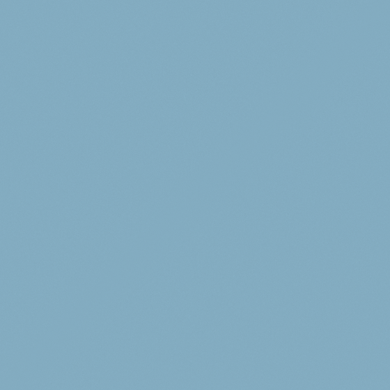 NP PB 2824T-Reliable Blue