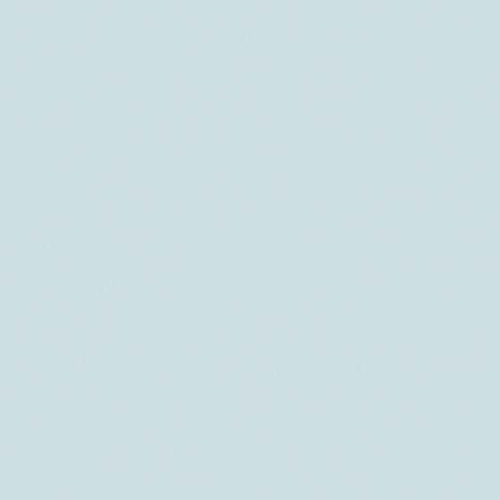 NP PB 2836P-Equalizer