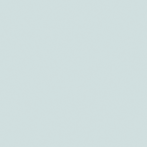 NP PB 2829P-Afternoon Siesta