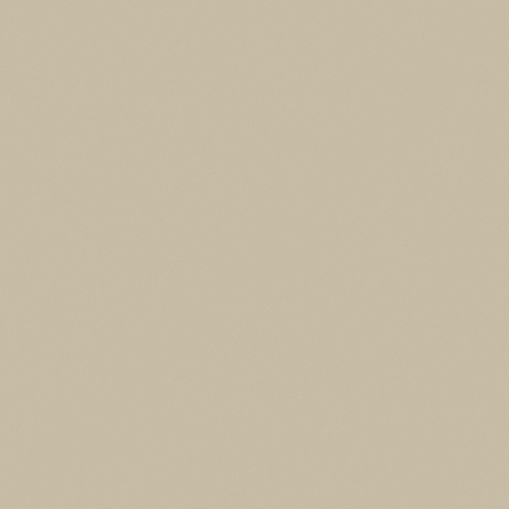 NP N 1818P-Sanded Birch