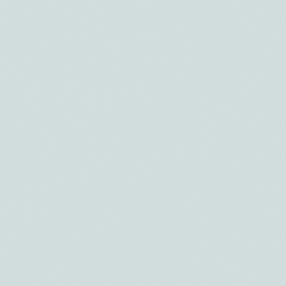 NP PB 2848P-Carpet Of Clouds