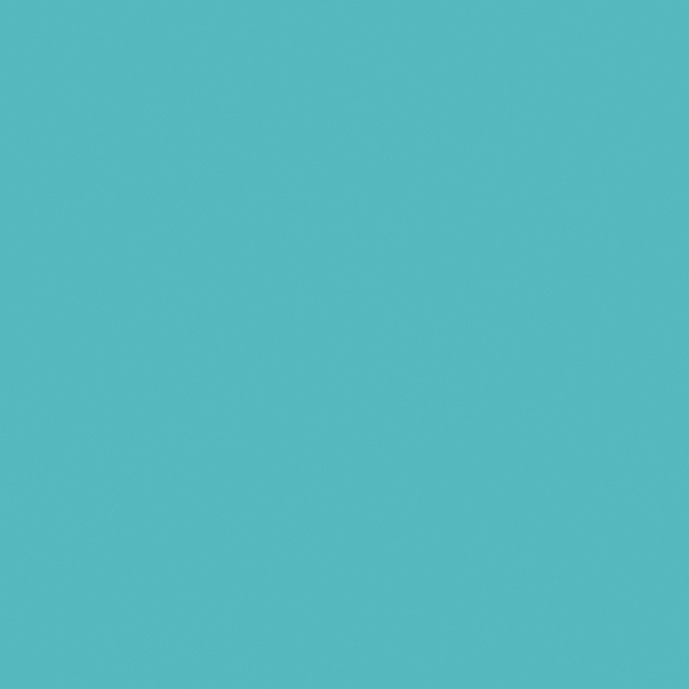 NP BGG 2747T-Honest Blue