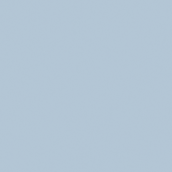 NP PB 1543P-Silent Blue