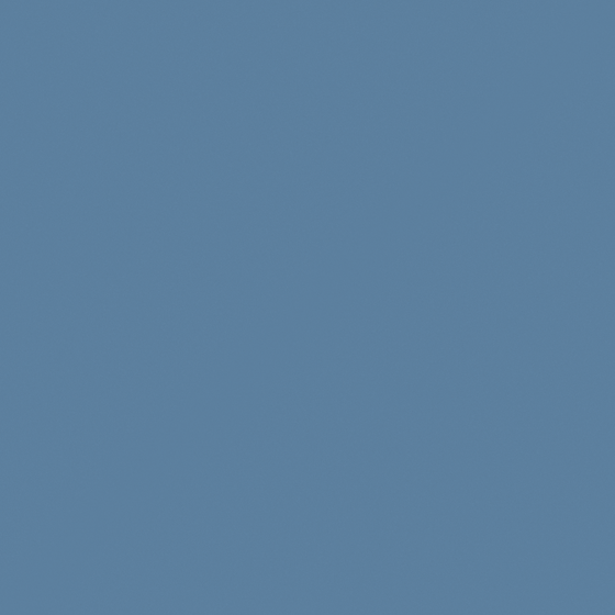 NP PB 1541D-Blue Flippers