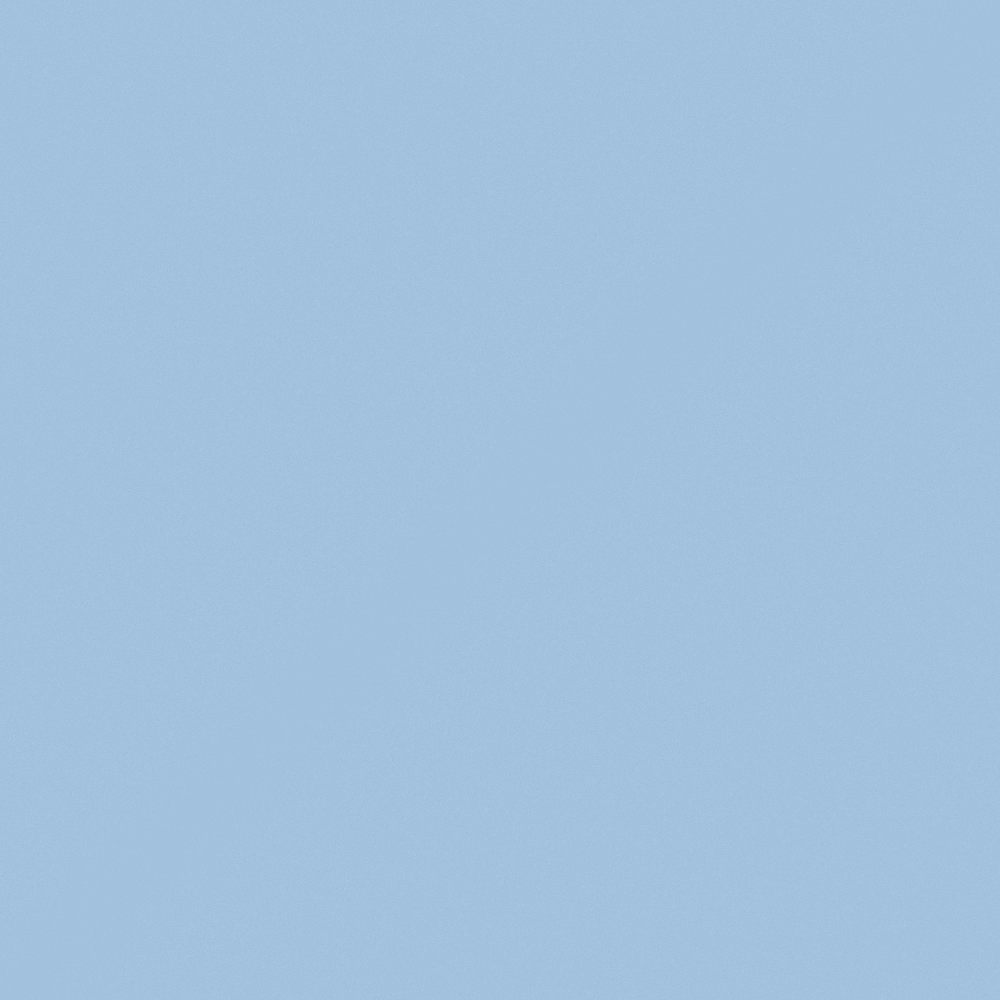 NP PB 2879P-Biker's Helmet