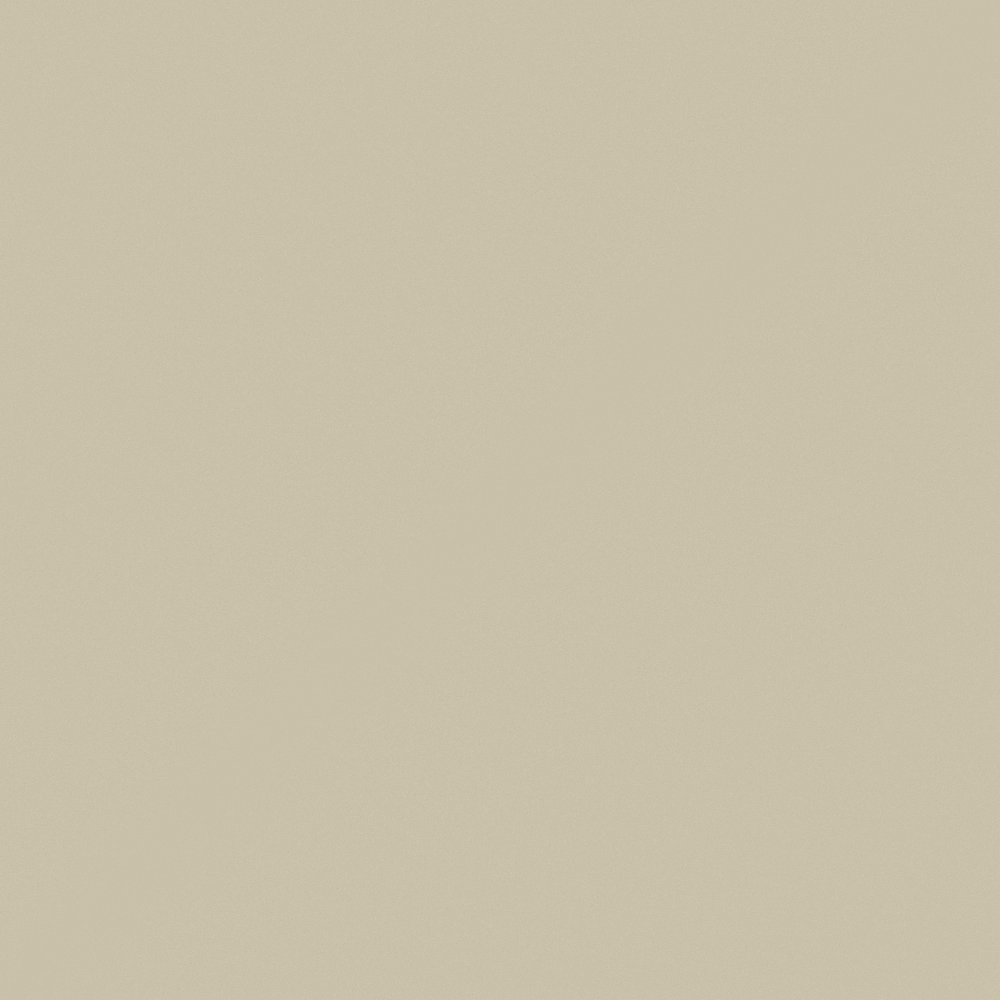 NP N 1817P-Pebble Walk