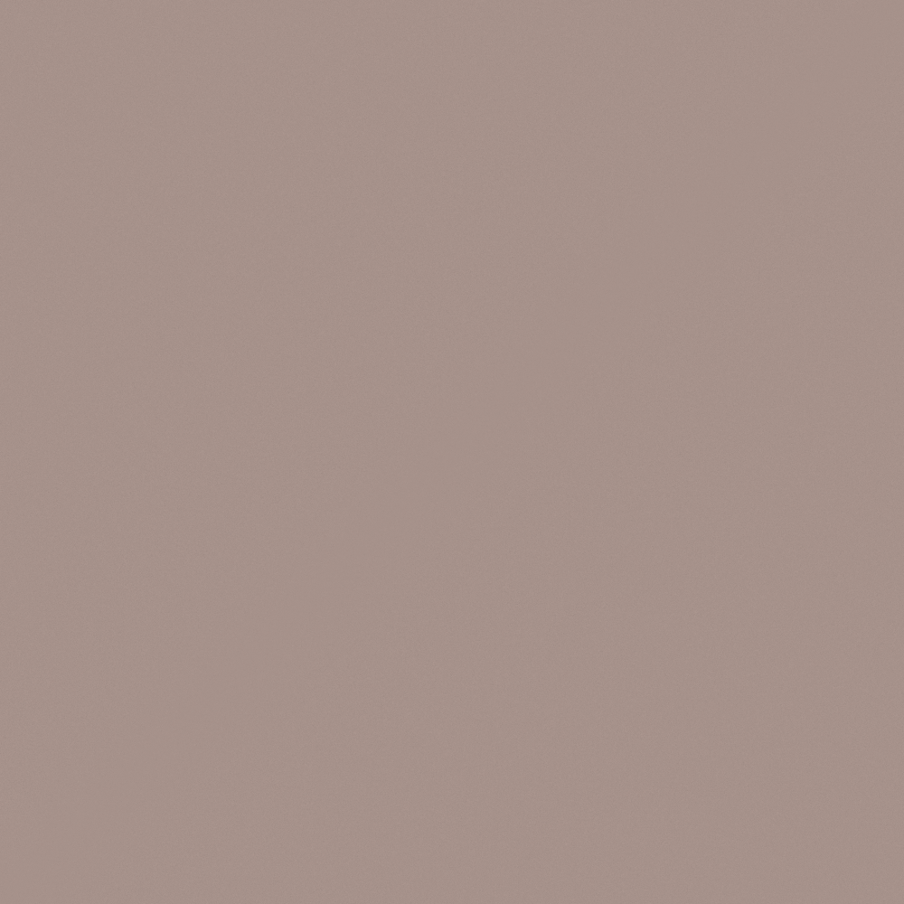 NP N 1882T Mushroom Brown