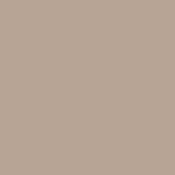 NP N 1864T-Artist's Impression