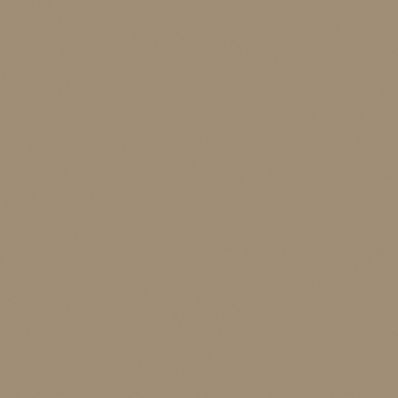 NP N 3192D-Saddle Up