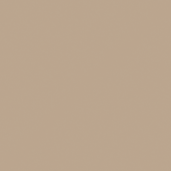 NP N 3191T-Safari Adventure