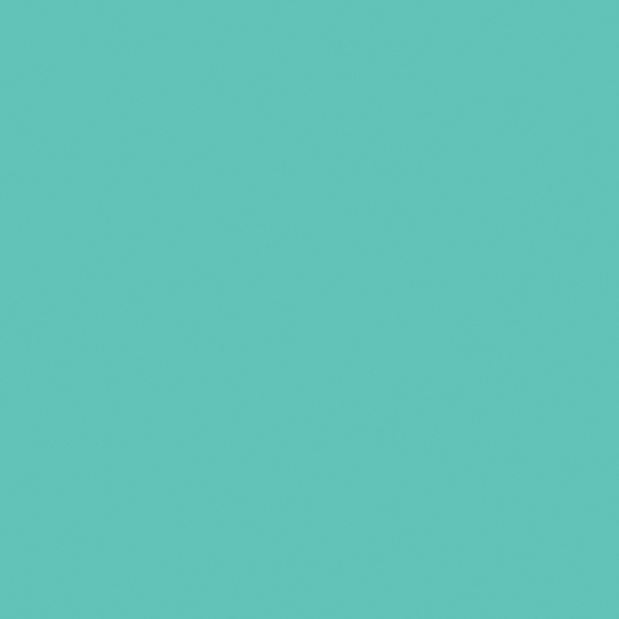 NP BGG 1602T-Poolside