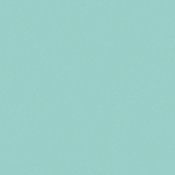 NP BGG 2702P-Big Splash