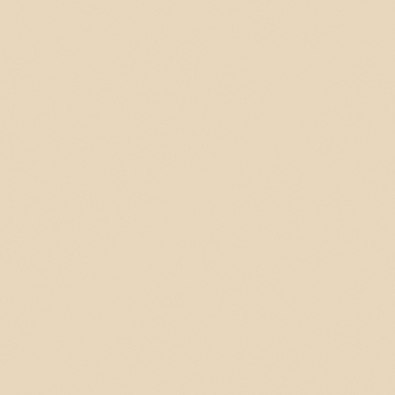 NP N 1845P-Perfumed Powder