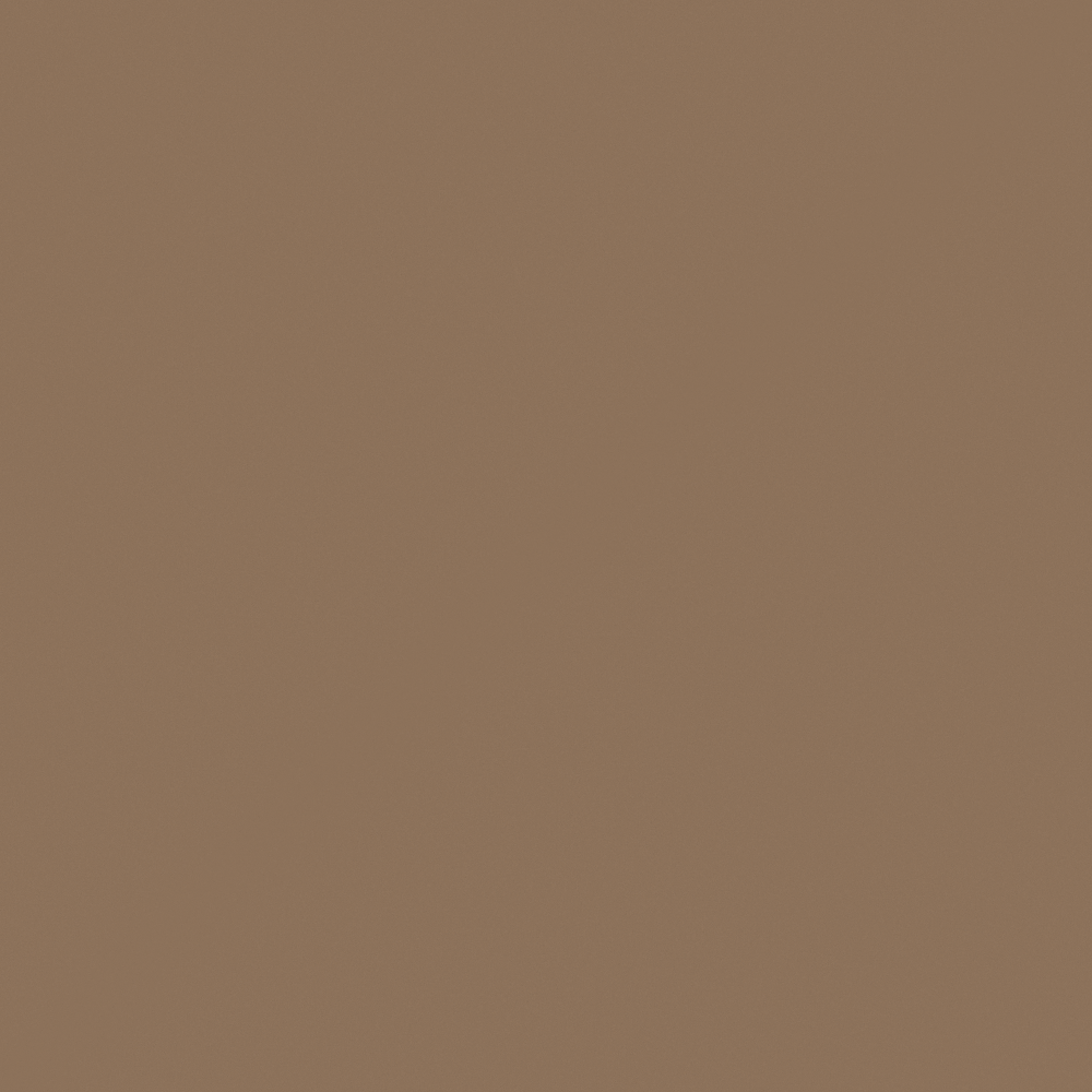 NP N 1869A-Friar Tuck