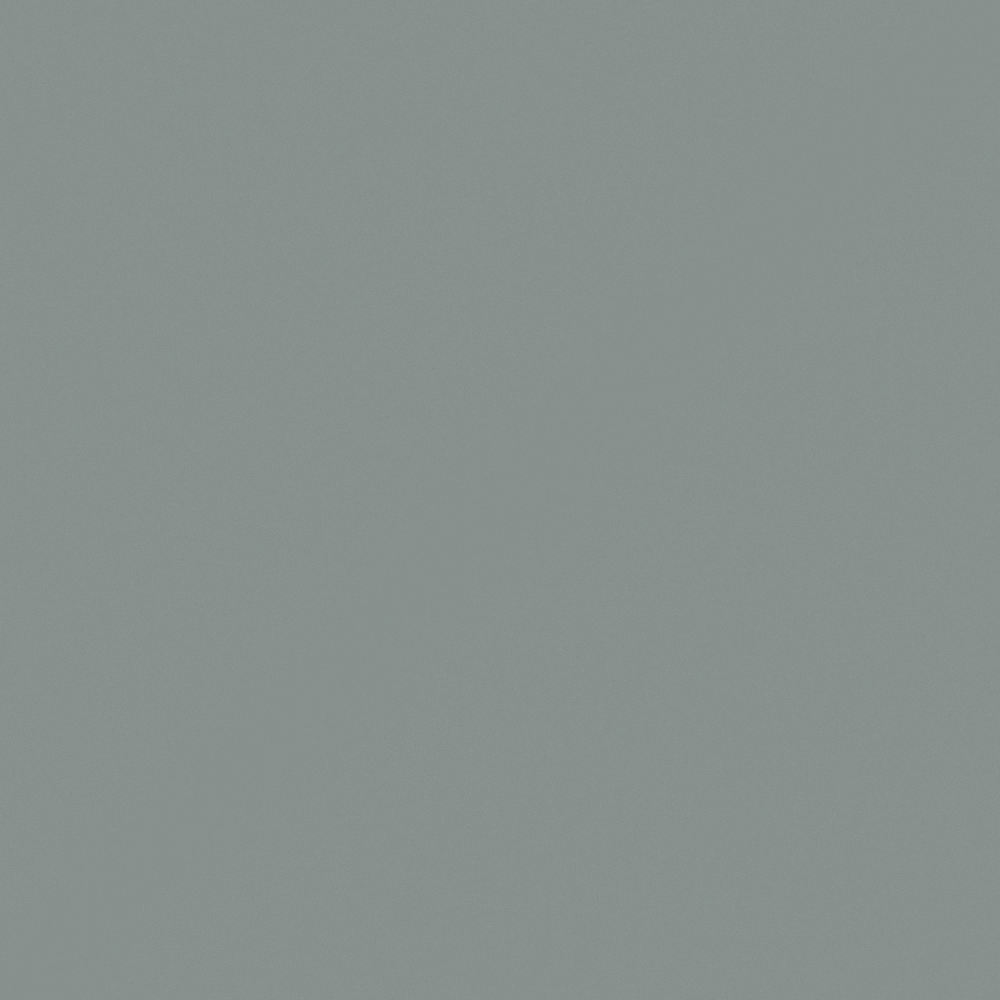 NP N 3059T Thunderstorm