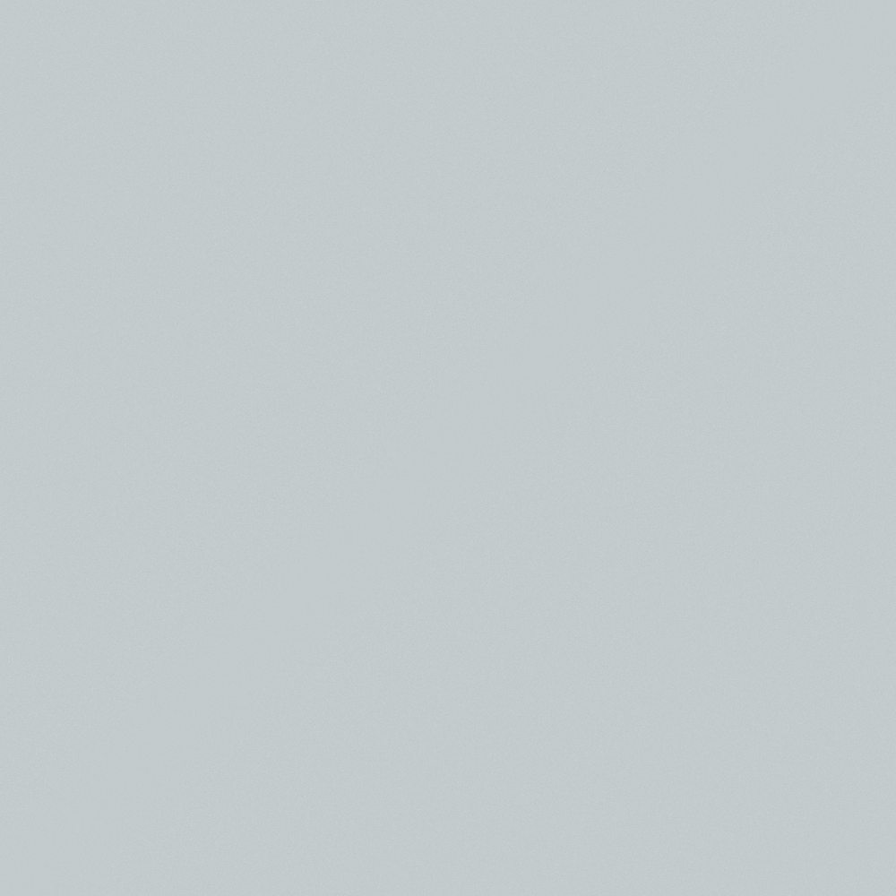 NP N 3069P-Pinnacle Gray