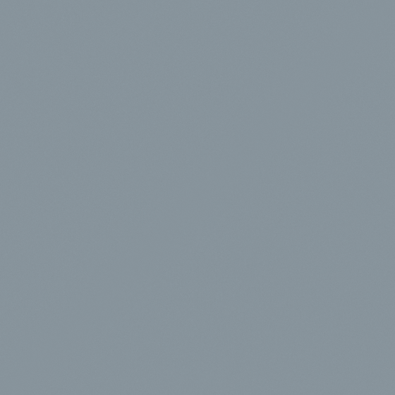 NP N 2001T-Gray Knight