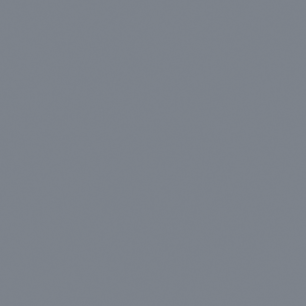 NP N 3084D-Mechanic Grey