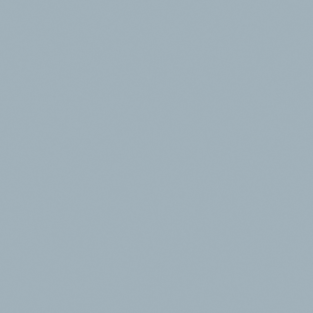 NP N 3077P-Blade Runner