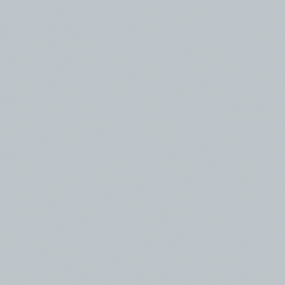 NP N 3075P Canon Shot