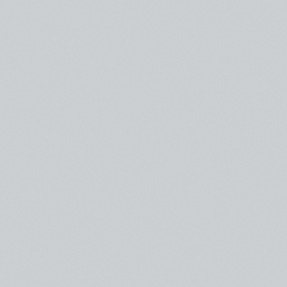 NP N 3082P-Pendulum Swing