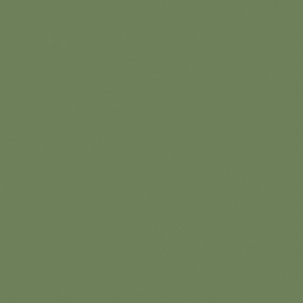 NP AC 2118A-Army Green